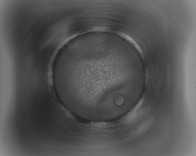 X0000101711019200807171531