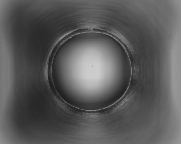 X0000101711020200807171531