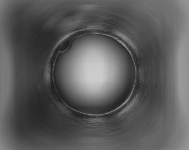 X0000101711021200807171531