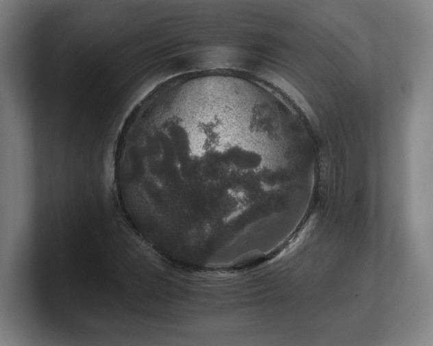 X0000101711023200807171531