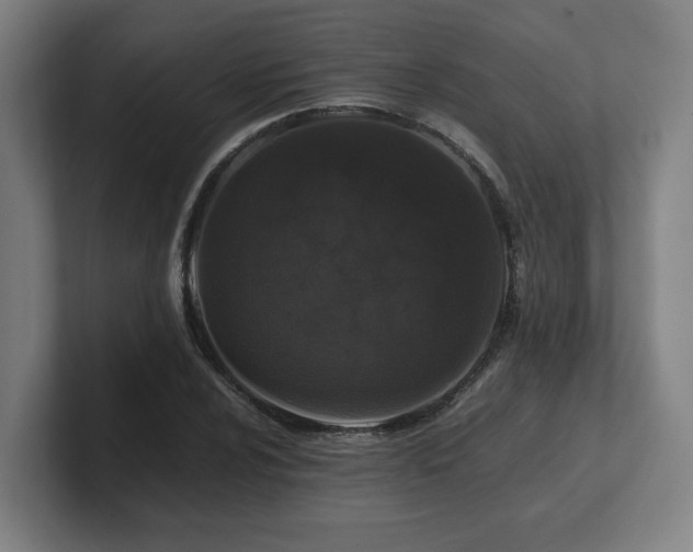 X0000101711024200807171531