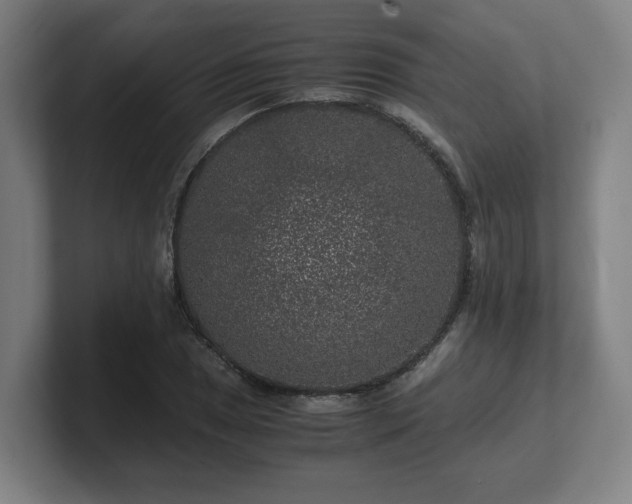 X0000101711025200807171531