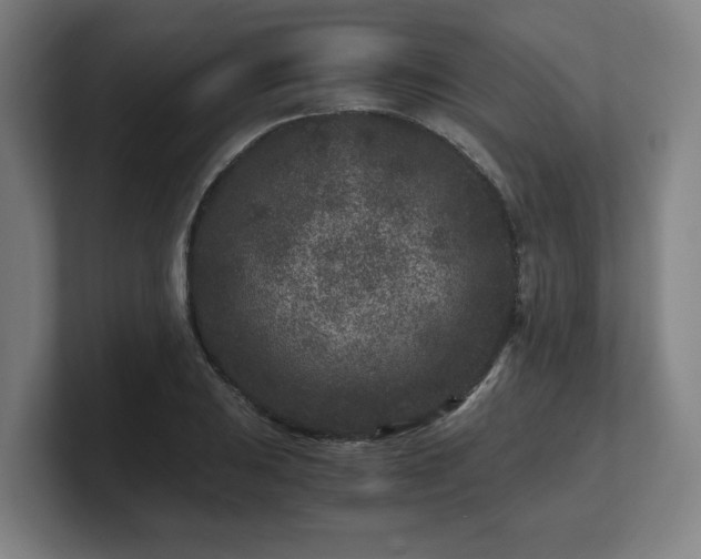 X0000101711031200807171532