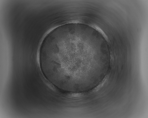 X0000101711035200807171532