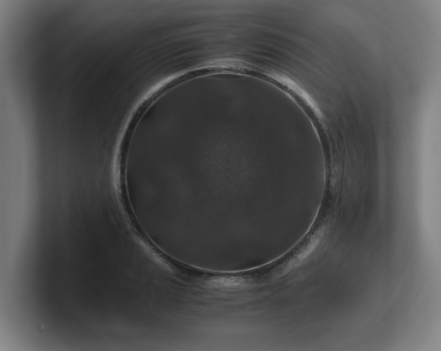 X0000101711037200807171532