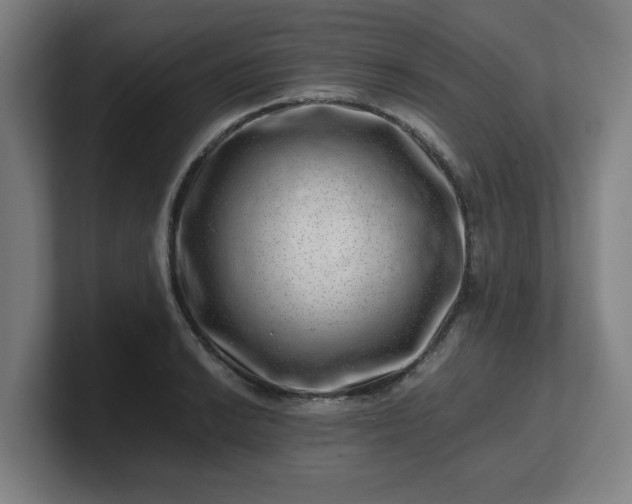 X0000101711038200807171532