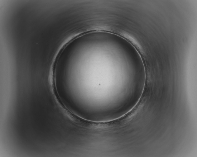 X0000101711040200807171532