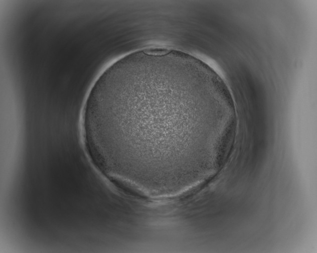 X0000101711056200807171532