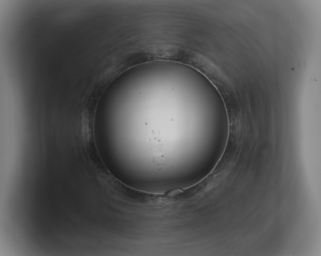 X0000101711058200807171531