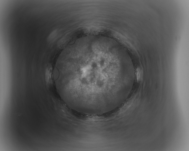 X0000101711059200807171531