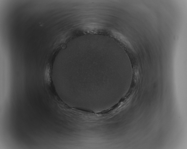 X0000101711060200807171531