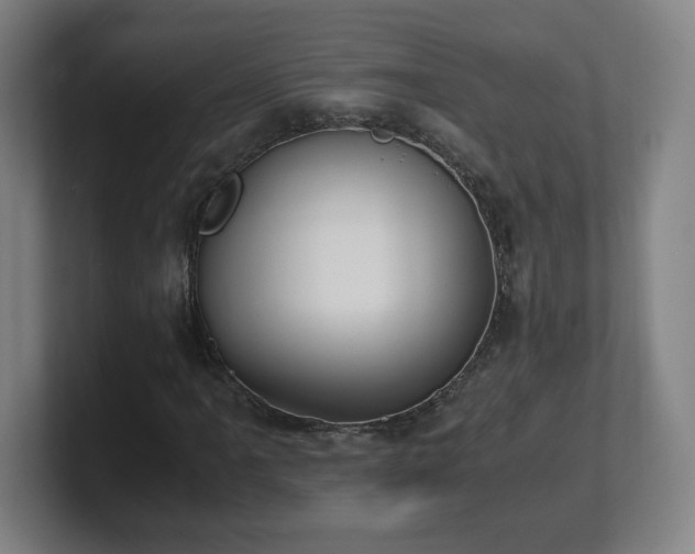 X0000101711061200807171531