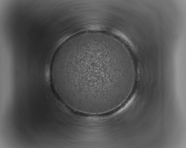 X0000101711065200807171531