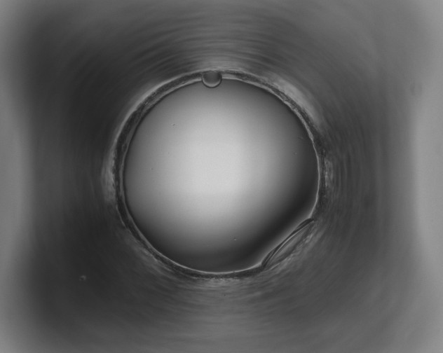 X0000101711068200807171531