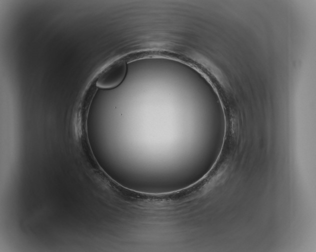 X0000101711069200807171531