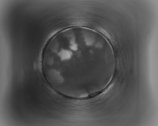 X0000101711071200807171531