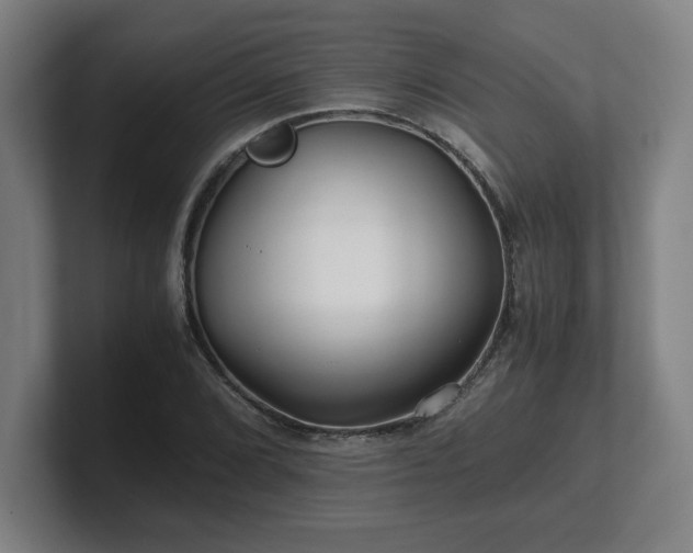 X0000101711072200807171531