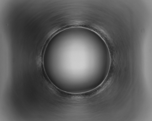 X0000101711073200807171531