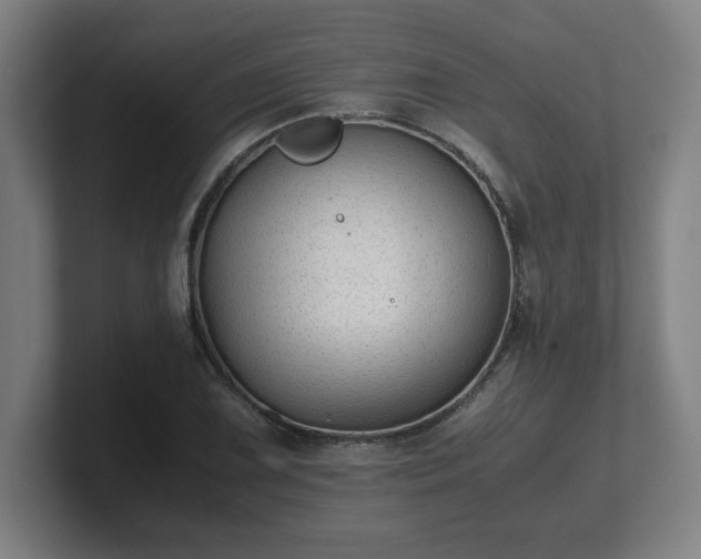 X0000101711075200807171531