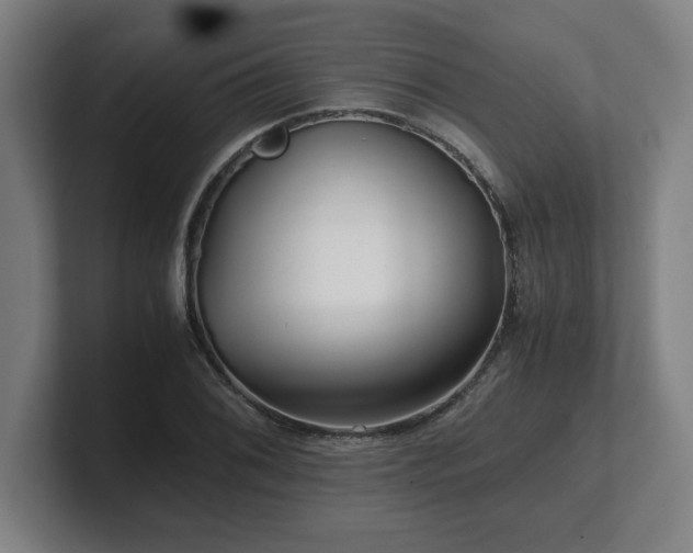 X0000101711076200807171531