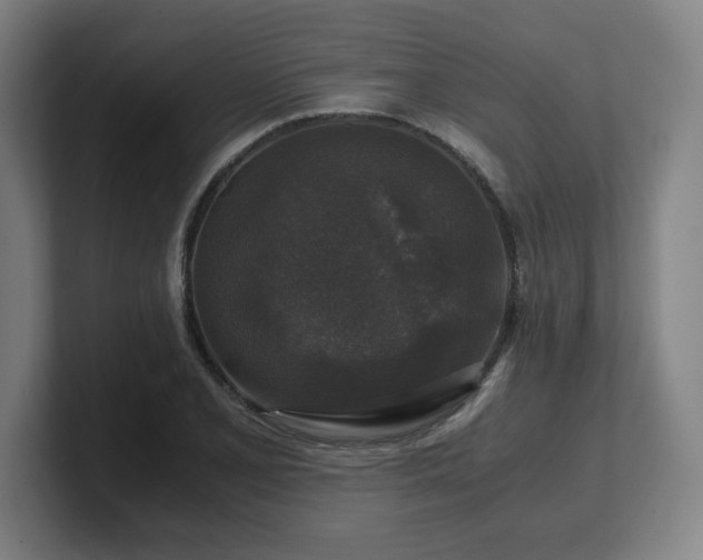 X0000101711077200807171531