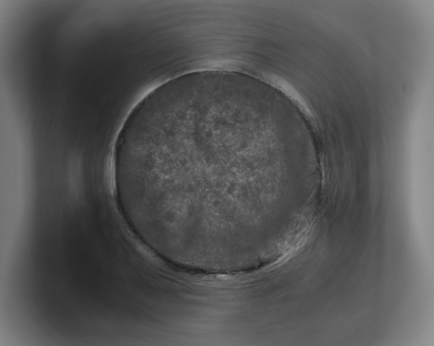 X0000101711079200807171531