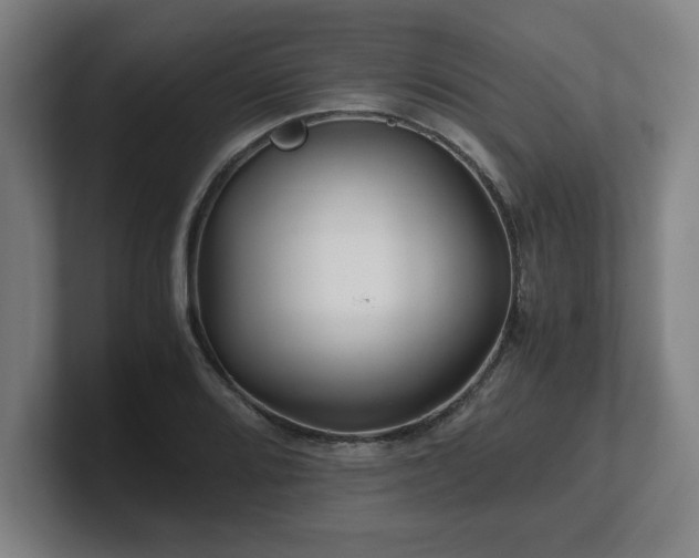 X0000101711080200807171531