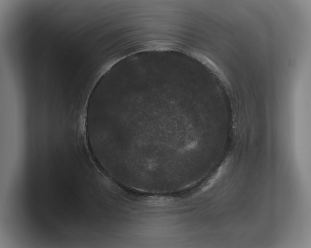 X0000101711081200807171531