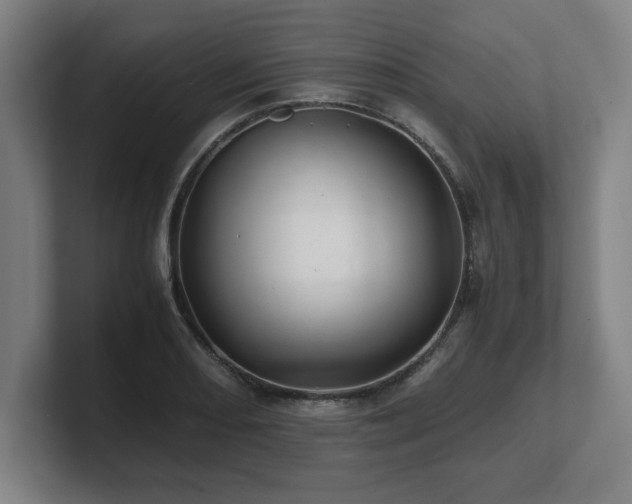 X0000101711082200807171531