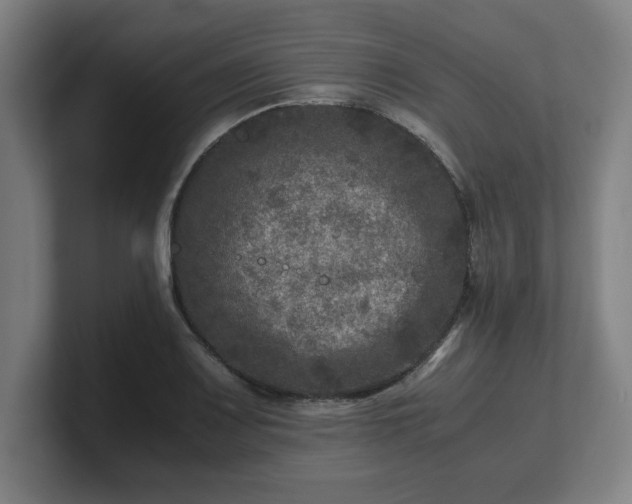 X0000101711083200807171531