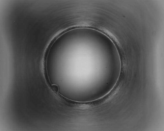 X0000101711085200807171531