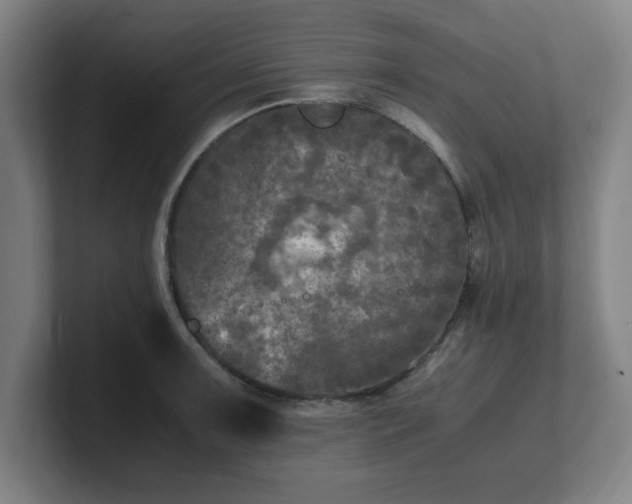 X0000101711091200807171531