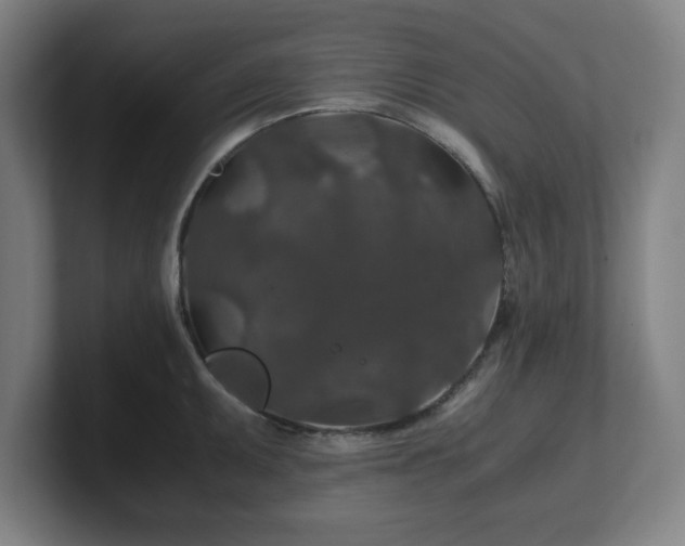X0000101711095200807171531
