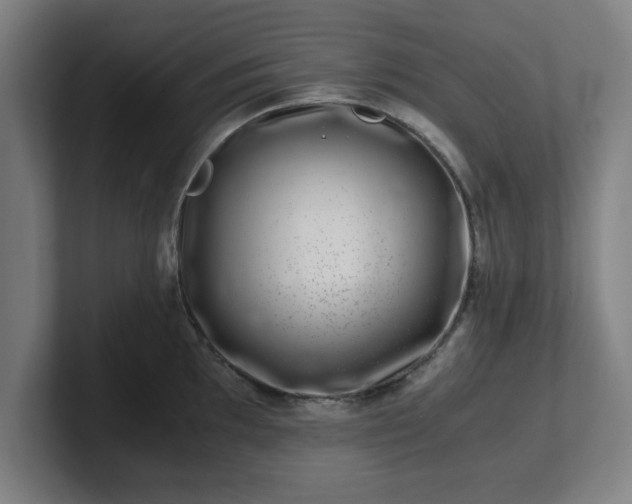 X0000101711097200807171531
