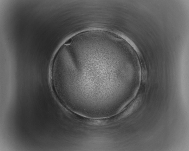 X0000101711101200807171531