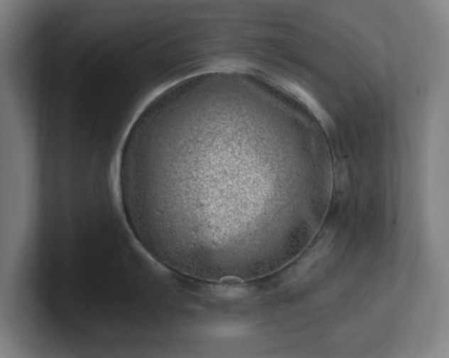 X0000101711103200807171531