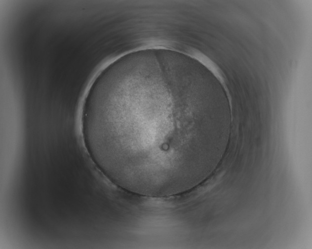 X0000101711104200807171531