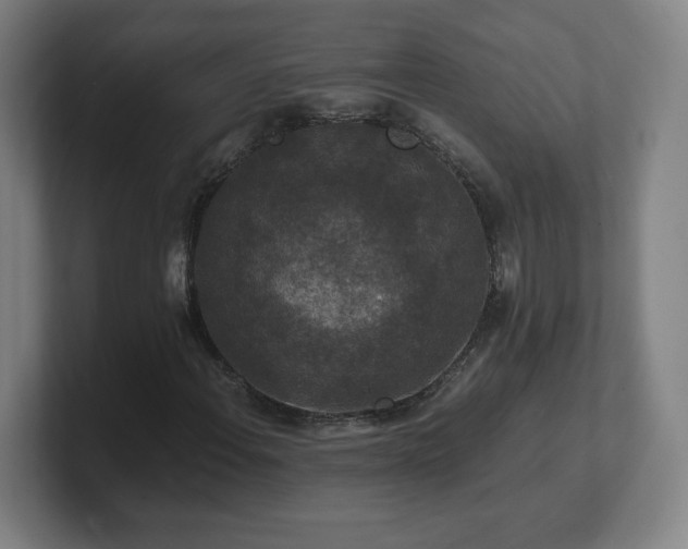 X0000101711108200807171530