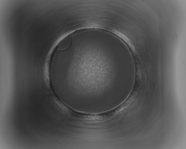 X0000101711120200807171530
