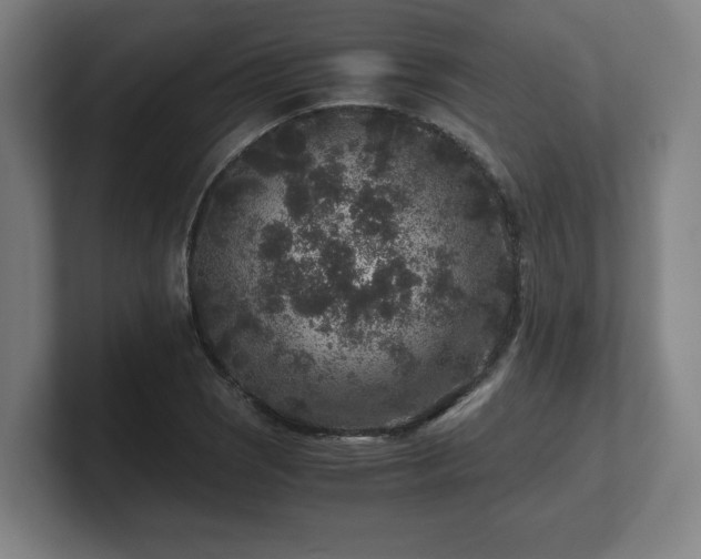 X0000101711121200807171530
