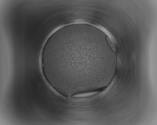 X0000101711142200807171530