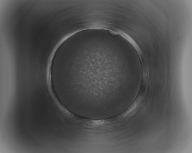 X0000101711144200807171530