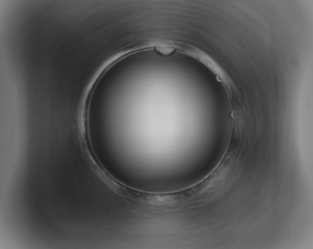 X0000101711148200807171531