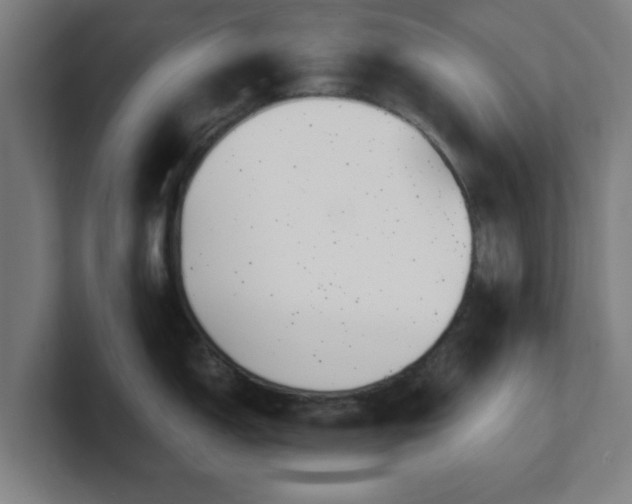 X0000101711150200807171531