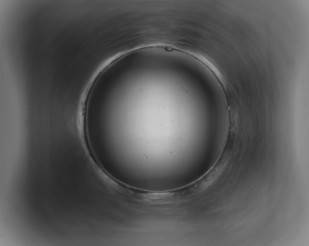 X0000101711151200807171531
