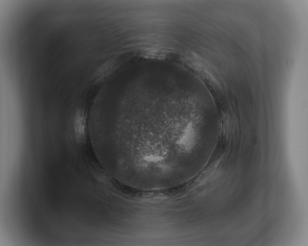 X0000101711154200807171530