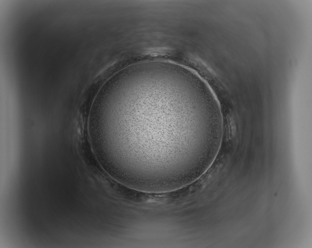 X0000101711158200807171530