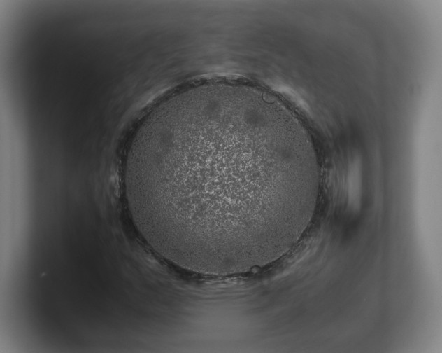 X0000101711159200807171530