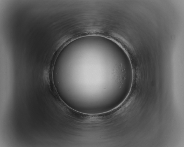 X0000101711162200807171530