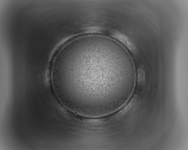 X0000101711164200807171530